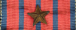 Medal of National Defence Device