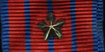 Medal of National Defence Device
