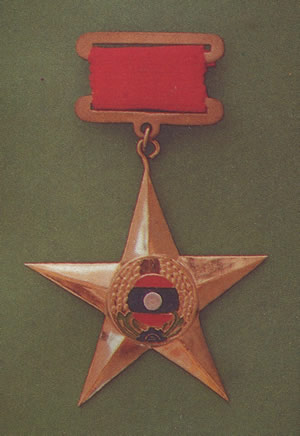 Medal for National Hero Picture