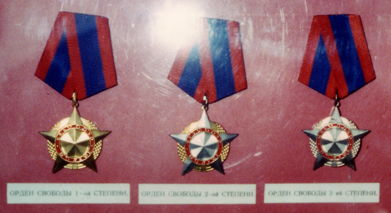 Medal of Freedom Picture