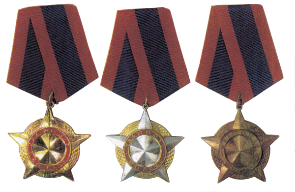 Medal of Freedom Picture