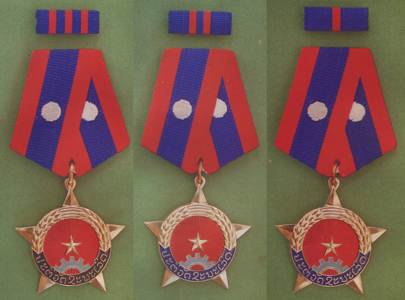 Medal for Victory in the Revolution Picture