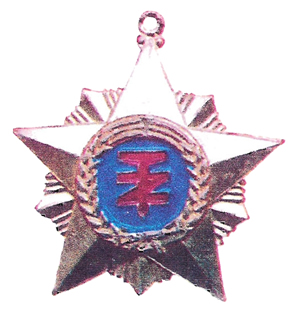 Chengdu Military District Special Surveyor Unit Founding Memorial Medal